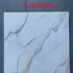 SJ 66085