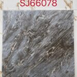 SJ 66078