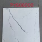 PY 606006