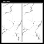 PY 6012007