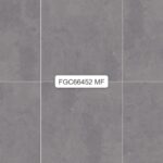 FGC 66452G