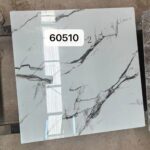 GW 60510