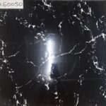 GW 60050