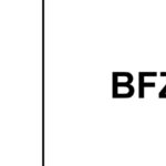 BASIN FAUCET BFZ1029CP