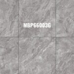 MBP 66003G
