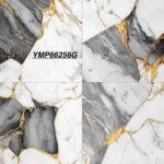 YMP 66256G