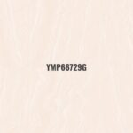 YMP 66729G