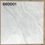 RF 660001 PY