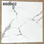 RF 660002 PY